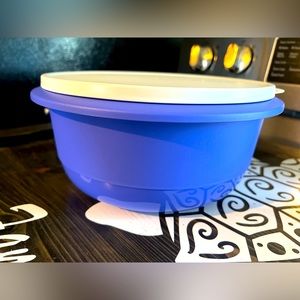 Purple Tupperware container